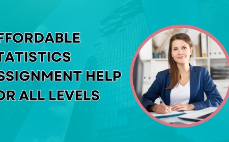 Affordable Statistics Assignment Help for All Levels