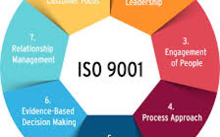 Achieving Operational Excellence with Quality Management Systems