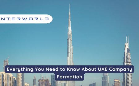 Everything You Need to Know About UAE Company Formation