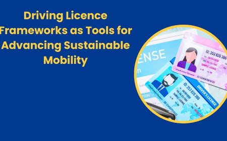 Driving Licence Frameworks as Tools for Advancing Sustainable Mobility