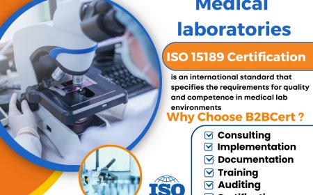 Case Studies in Cybersecurity: New York Organizations Applying ISO 27032 Principles with a Focus on Data Integrity and Operational Excellence