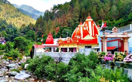 Know the Nainital to Kainchi Dham Distance & Travel Route