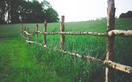 No Win No Fee Boundary Dispute: Resolve Property Conflicts with Legal Assist