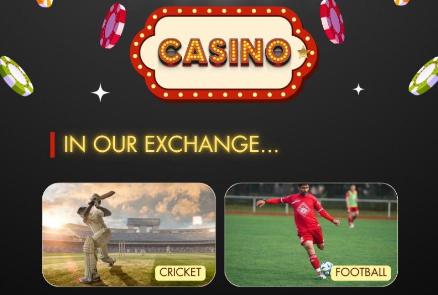 11xplay Login & Features – Your Gateway to Seamless Online Gaming