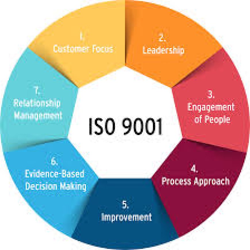 Achieving Operational Excellence with Quality Management Systems