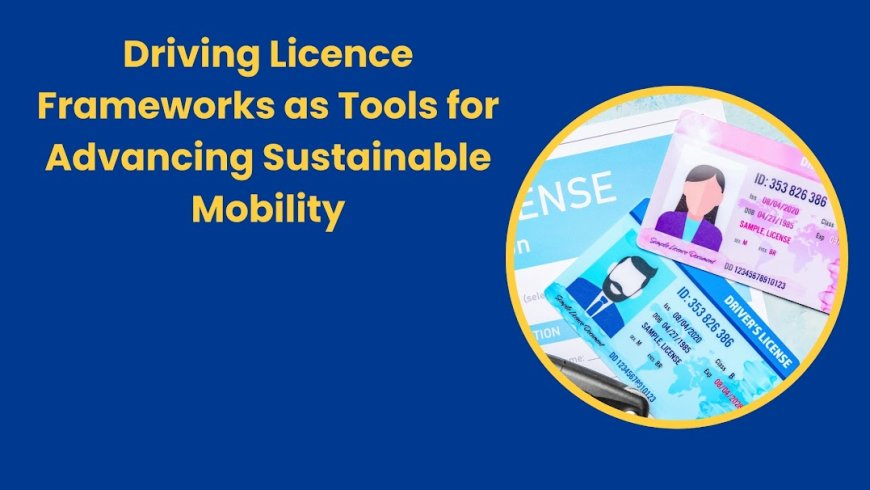 Driving Licence Frameworks as Tools for Advancing Sustainable Mobility
