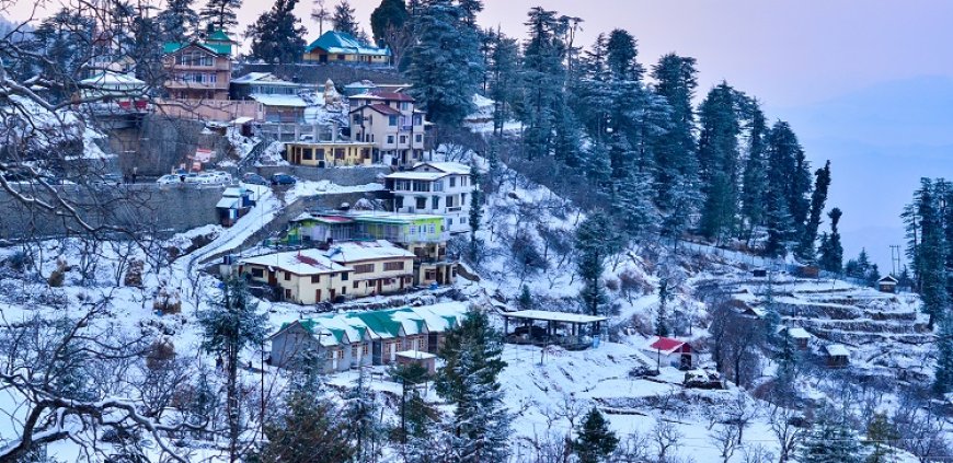 Explore Hills with Our Chandigarh To Shimla Tour Package