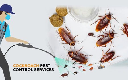 NYC Roach Control for Pet Owners: Safe Solutions That Protect Your Cat