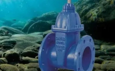 Comparison of Underwater Flat Gate Valve Sealing Structures