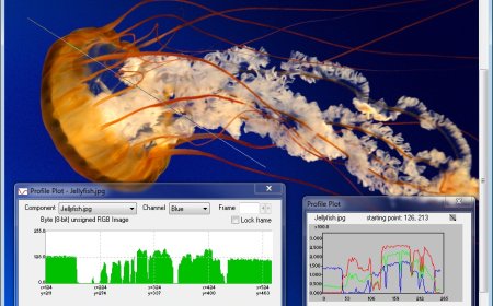 Forensic Analysis with Advanced Investigation Software
