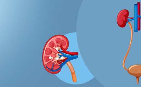 Advanced Kidney Stone Treatment by Leading Urologist in Jaipur