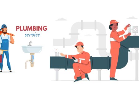Reliable Plumbing Solutions in Arizona: Your Guide to Phoenix Plumbing