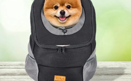 Ensuring Safe Travel with the Right Puppy Car Carrier