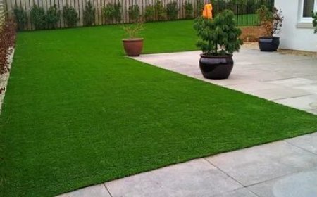 5 Things to Consider Before Installing Artificial Grass in Dubai