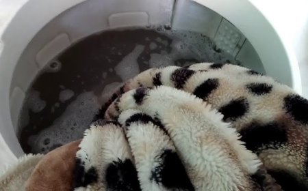 Blankets Dry Cleaners Lisle, IL