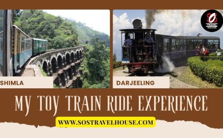 Looking to Explore Darjeeling on a Budget? Packages Inside