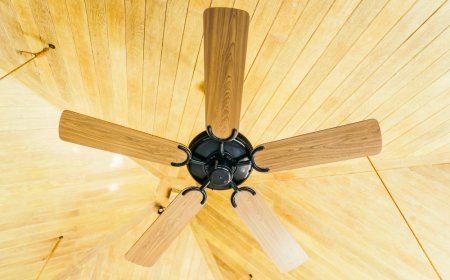Choosing the Right Support for Overhead Fans
