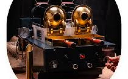 Small Batch Coffee Roaster: A Professional’s Guide