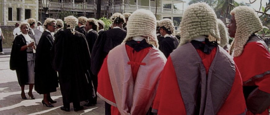 Legal Best Practices for Offshore Investment | Ryan & Co. Advisory