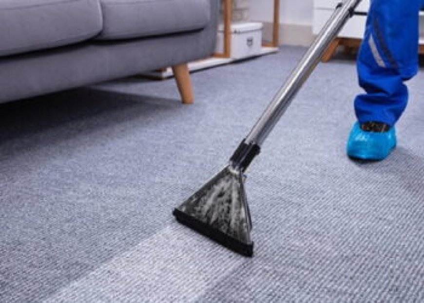 ﻿Why Every Home Needs Professional Carpet Cleaning: The Essential Benefits