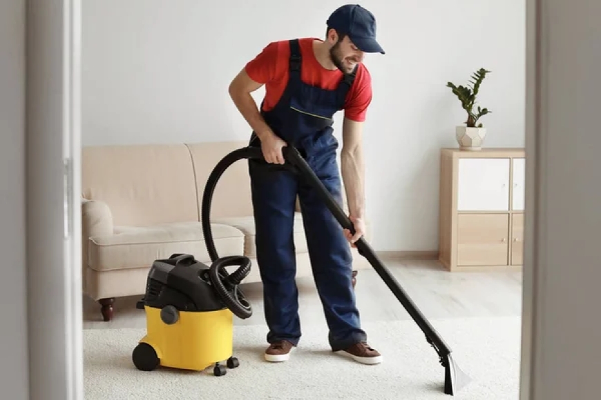 Best Home Carpet Cleaner Denver, CO
