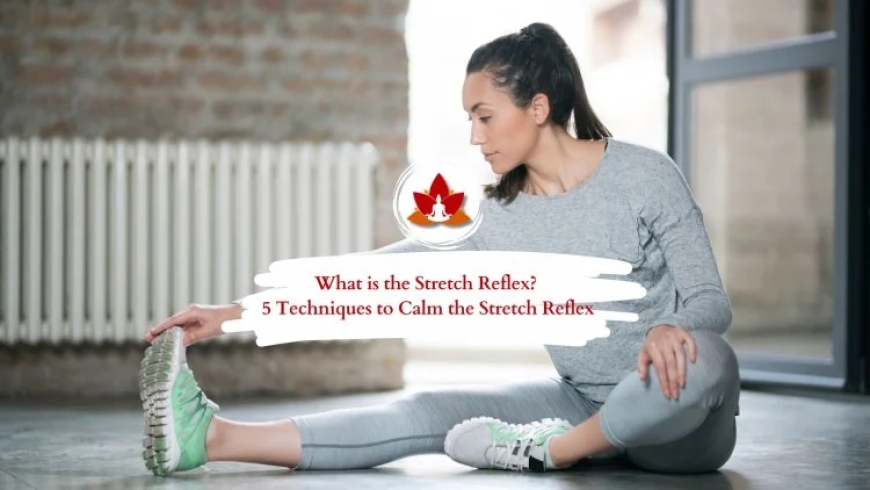 Understanding Reflex Stretch: How Your Body Protects and Performs