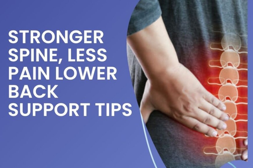 Lower Back Pain: The Role of Ergonomics