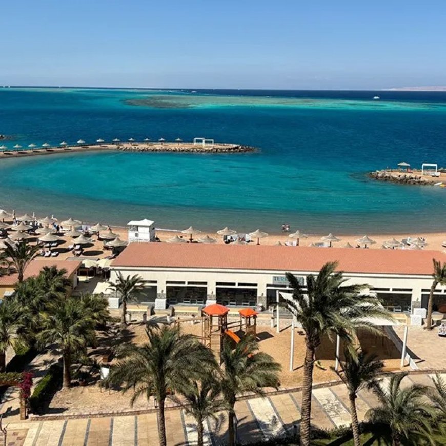 Why Your Next Trip Should Include a Red Sea Diving Adventure